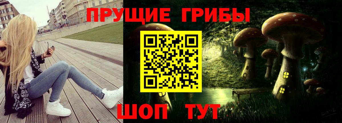 Псилоцибиновые грибы Psilocybine cubensis  Вход с VPN  Ногинск 